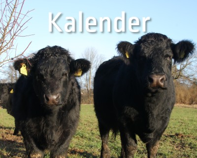 kalender-arrangementer